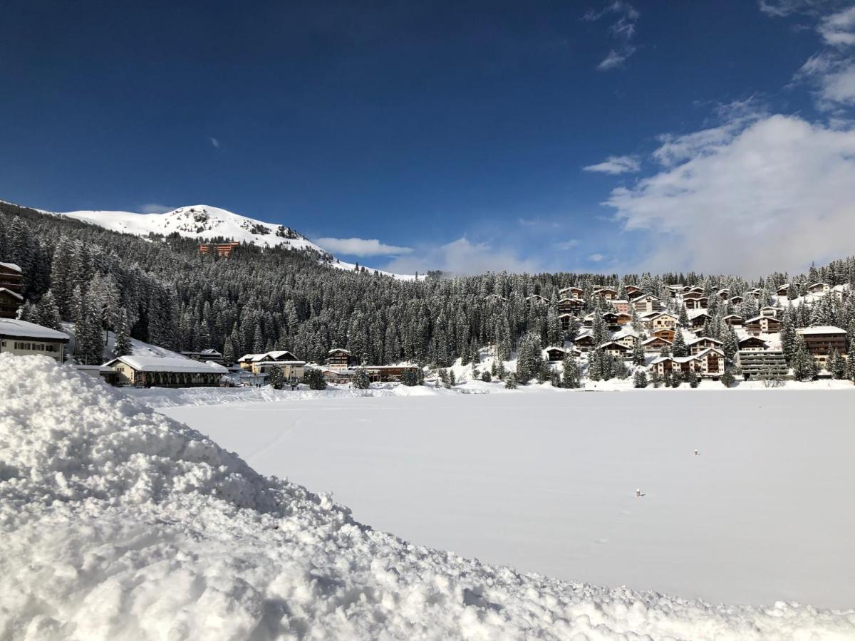 Arosa Vetter Hotel מראה חיצוני תמונה