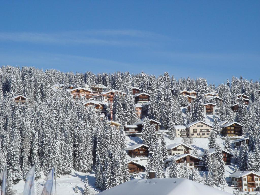 Arosa Vetter Hotel מראה חיצוני תמונה